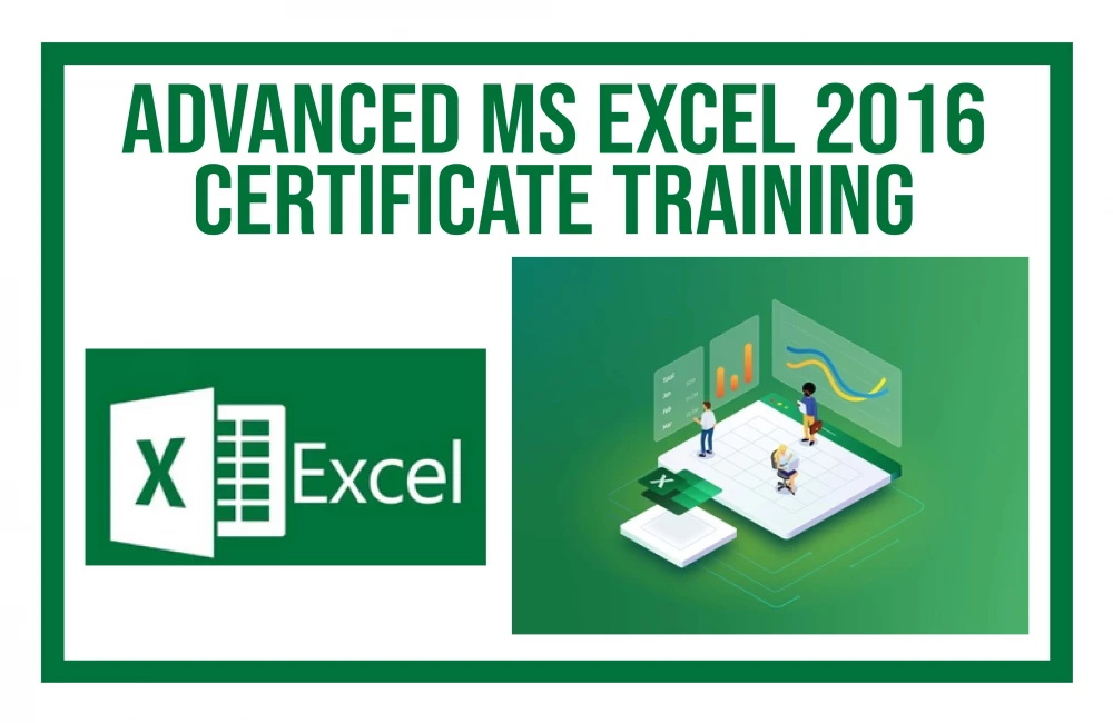 Advanced MS Excel 2016 Certification Training 